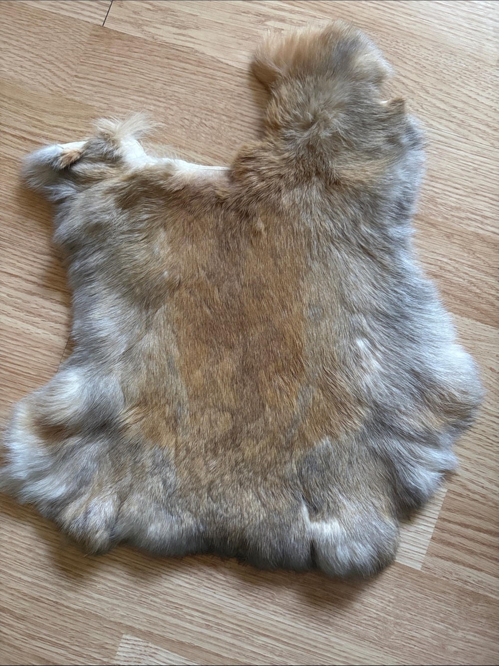 B0089 rabbit pelt- Warm Tan & Cream Tones